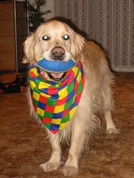 DiamondDog