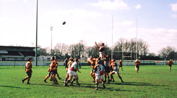 lineout