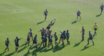 line-out-win