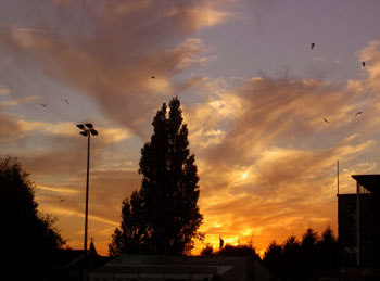 PICT0724