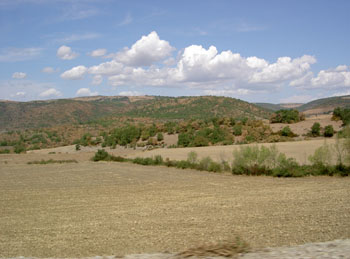 PICT0115