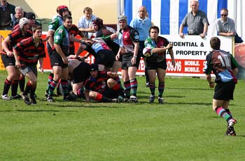 IMG_4684