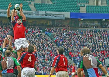 Munster 016