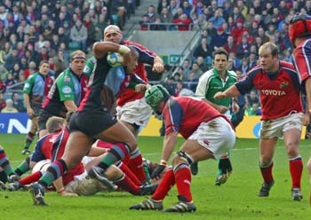 Munster 023