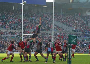 Munster 090