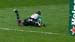 IMG_3667