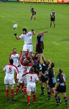IMG_2144