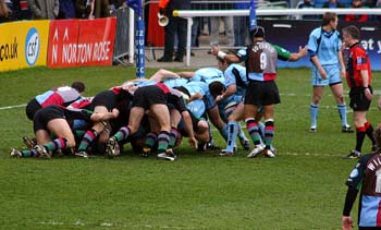 IMG_4263