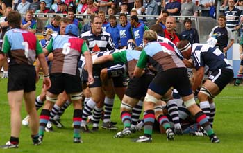 IMG_7366