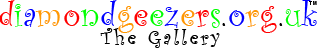 DG Gallery Logo