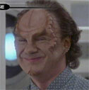 Dr Phlox